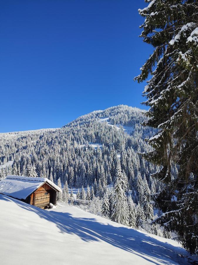 Villa Koliba Marijanovic à Andrijevica Extérieur photo