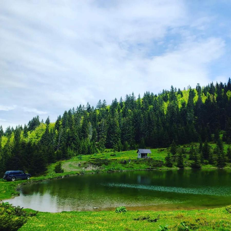 Villa Koliba Marijanovic à Andrijevica Extérieur photo